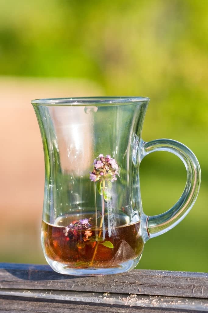 Glass Mug